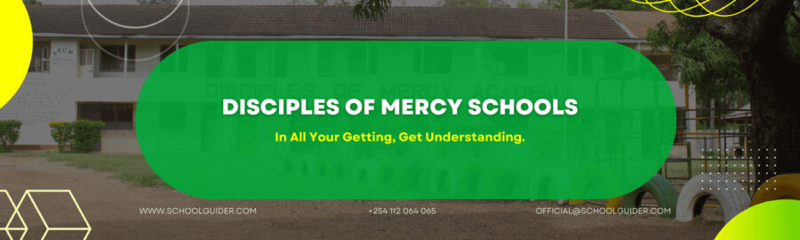 Disciples of Mercy Poster1