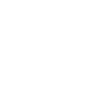sg placeholder Z