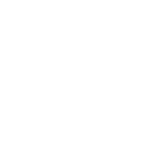 sg placeholder N